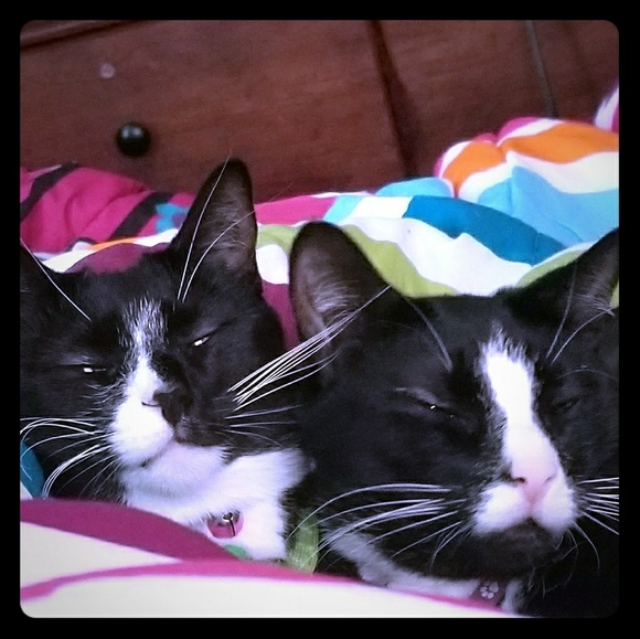 CLEARANCE SALE!!!! Get great prices! - Picture 1 of 3